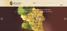 Cantina del Giogantinu